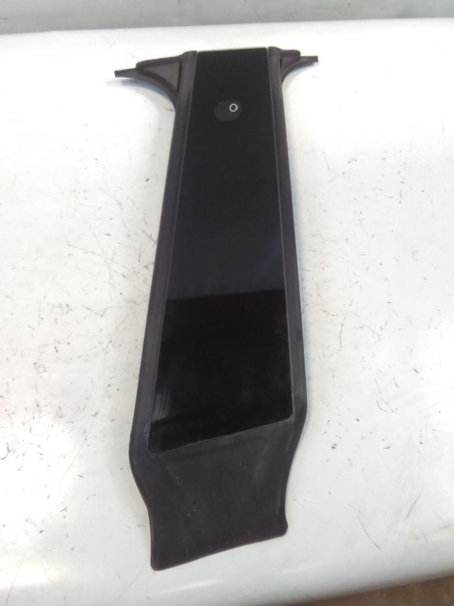 Tesla Model Y original Blende B-S&auml;ule links mit Kamera BJ2023