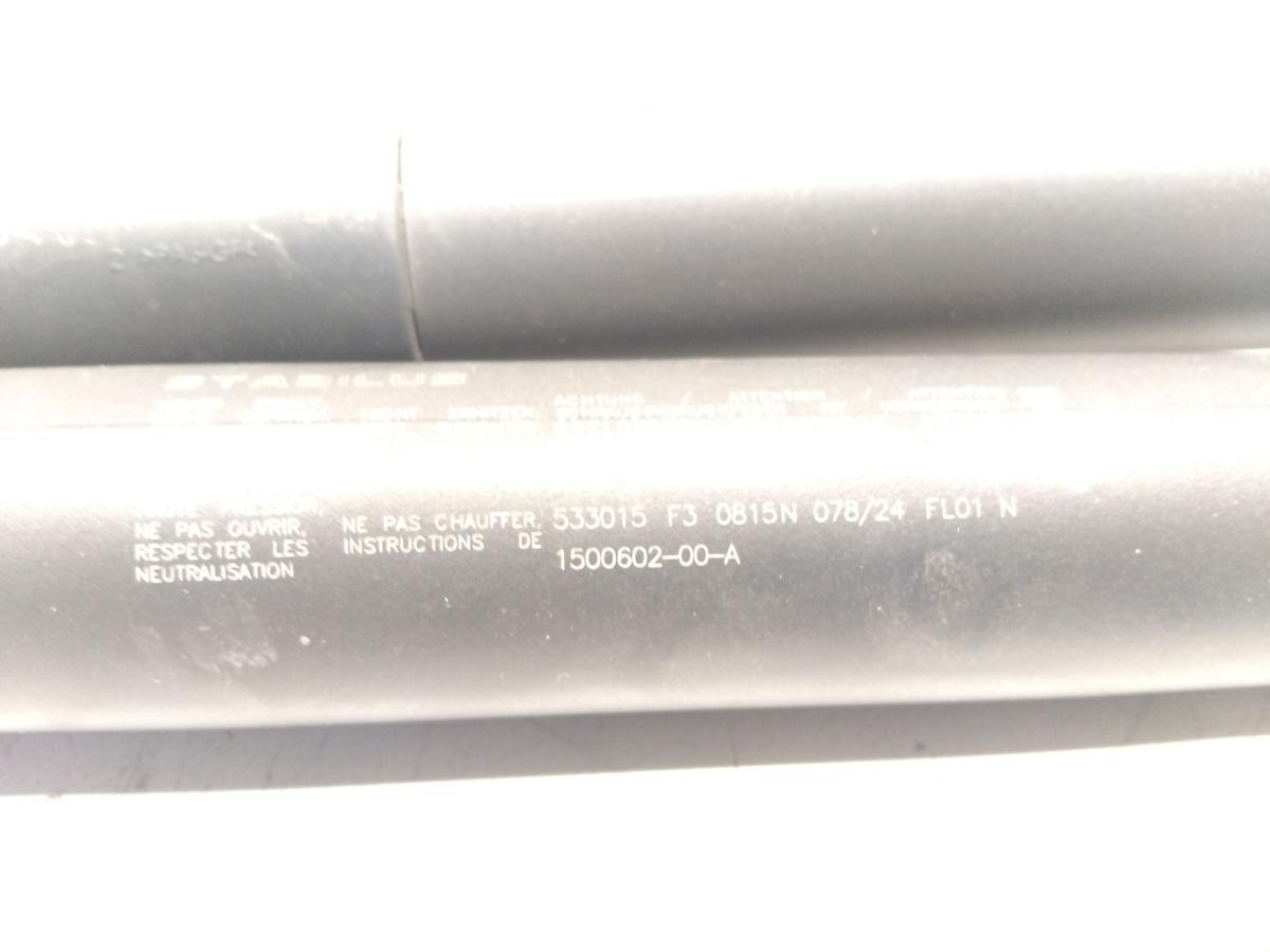 Tesla Model Y original Satz Gasdruckzylinder Heckklappe mit Antrieb BJ2023