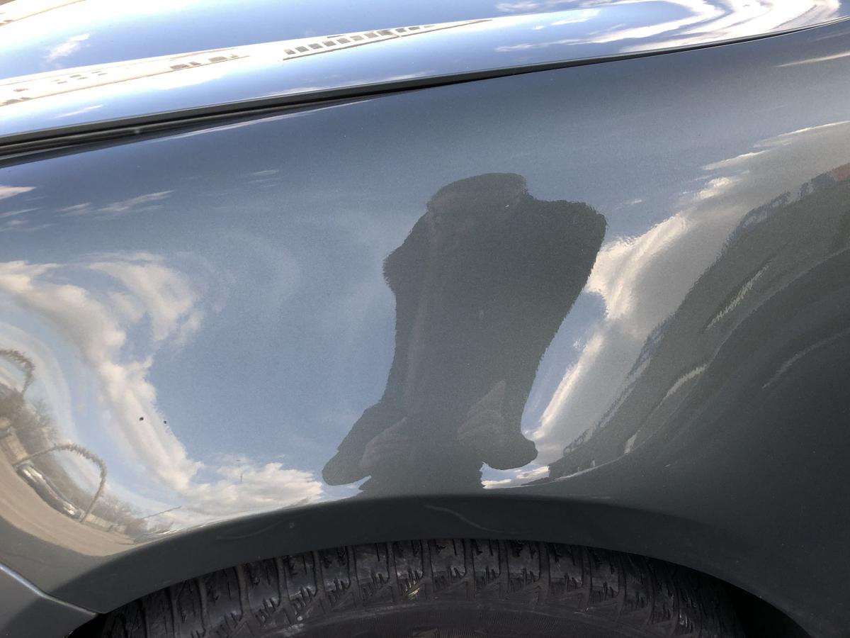 VW Golf 5 V 1K Kotfl&uuml;gel vorn links Fahrerseite LA6Q Sagegreen kein OE