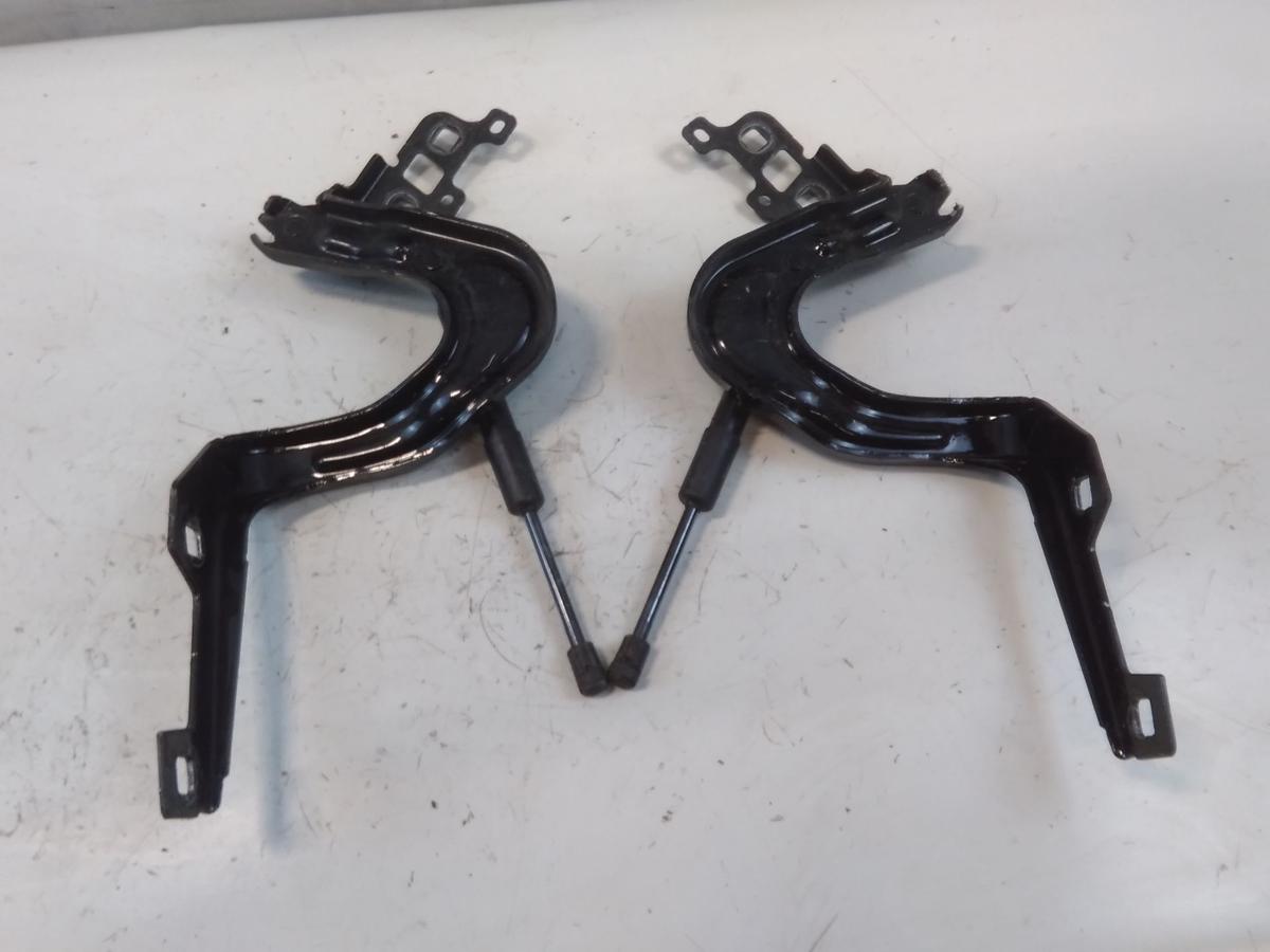 Tesla Model Y original Satz Motorhaubenscharniere unfallfrei BJ2023