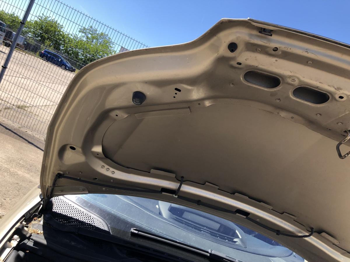 Citroen C4 Typ L Motorhaube Haube Klappe Deckel vorn KCW Sable de Langrune