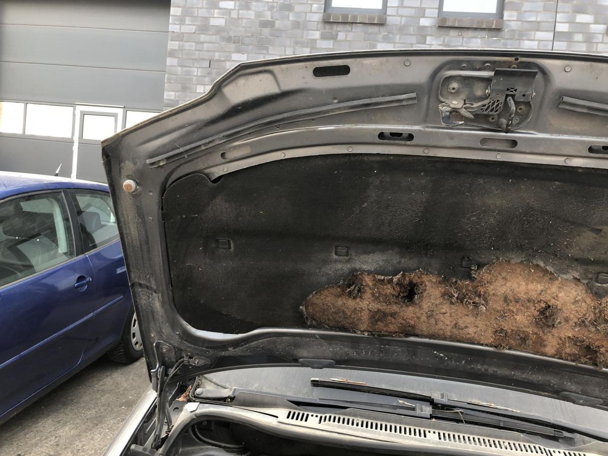 VW Touran 1T 1T1 Motorhaube Haube Klappe Deckel vorn LD7X Platingrau Metallic