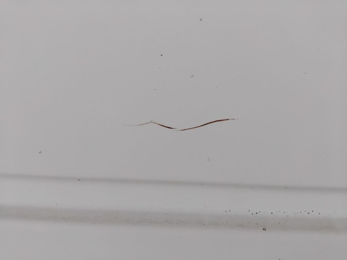 Mercedes Vito 638 Kastenwagen Schiebet&uuml;r rechts arktikweiss 9147 Rost BJ2003