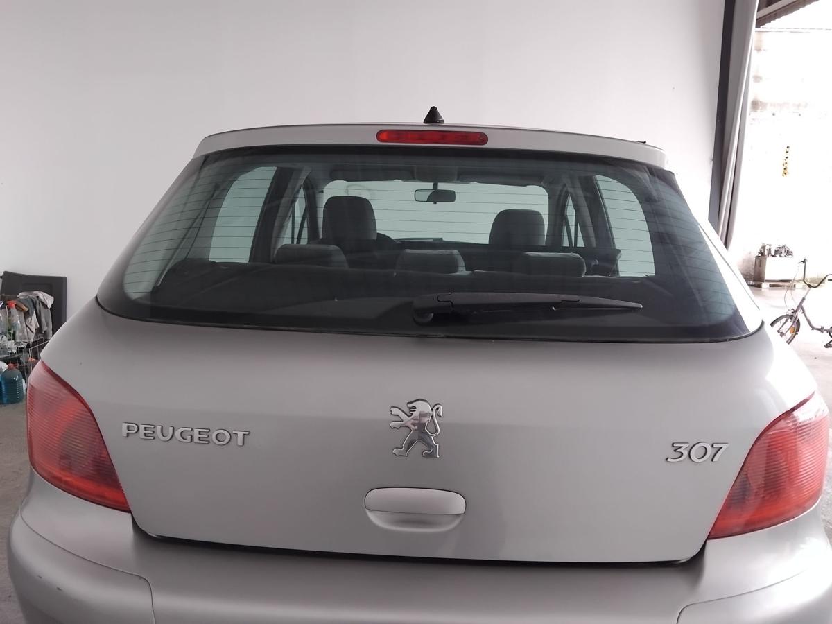 Peugeot 307 Heckklappe EZA Gris Sidobre mit Heckscheibe Flie&szlig;heck BJ2004