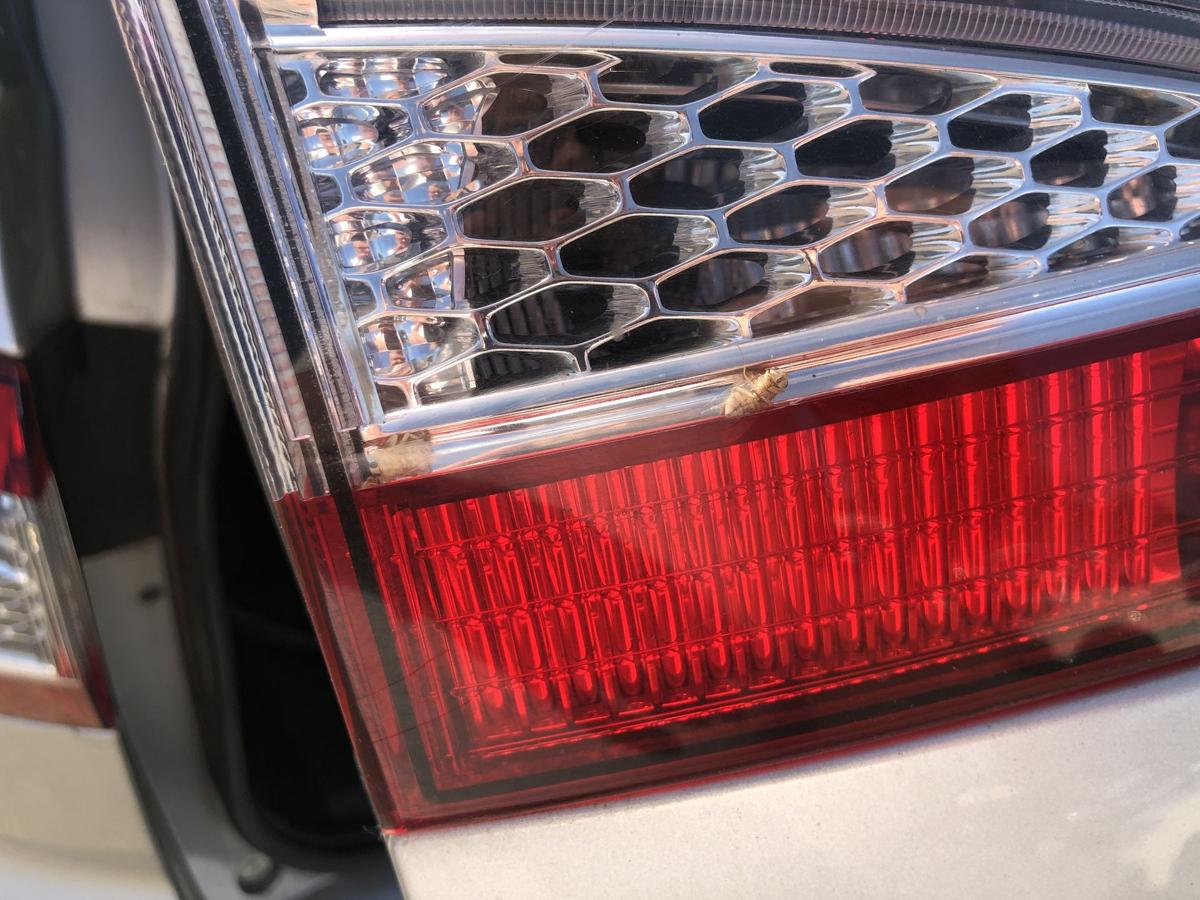 Ford Mondeo MK4 BA7 Turnier R&uuml;ckleuchte innen links R&uuml;cklicht Facelift