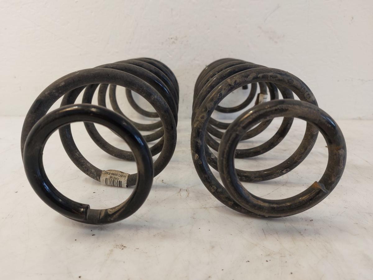 Ford Fiesta HF MK8 Satz Fahrwerksfedern Federn Fahrwerk Hinterachse 5 T&uuml;rer