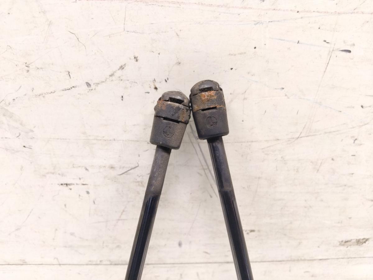 Tesla Model S original Satz Gasdruckd&auml;mpfer Motorhaube BJ2014