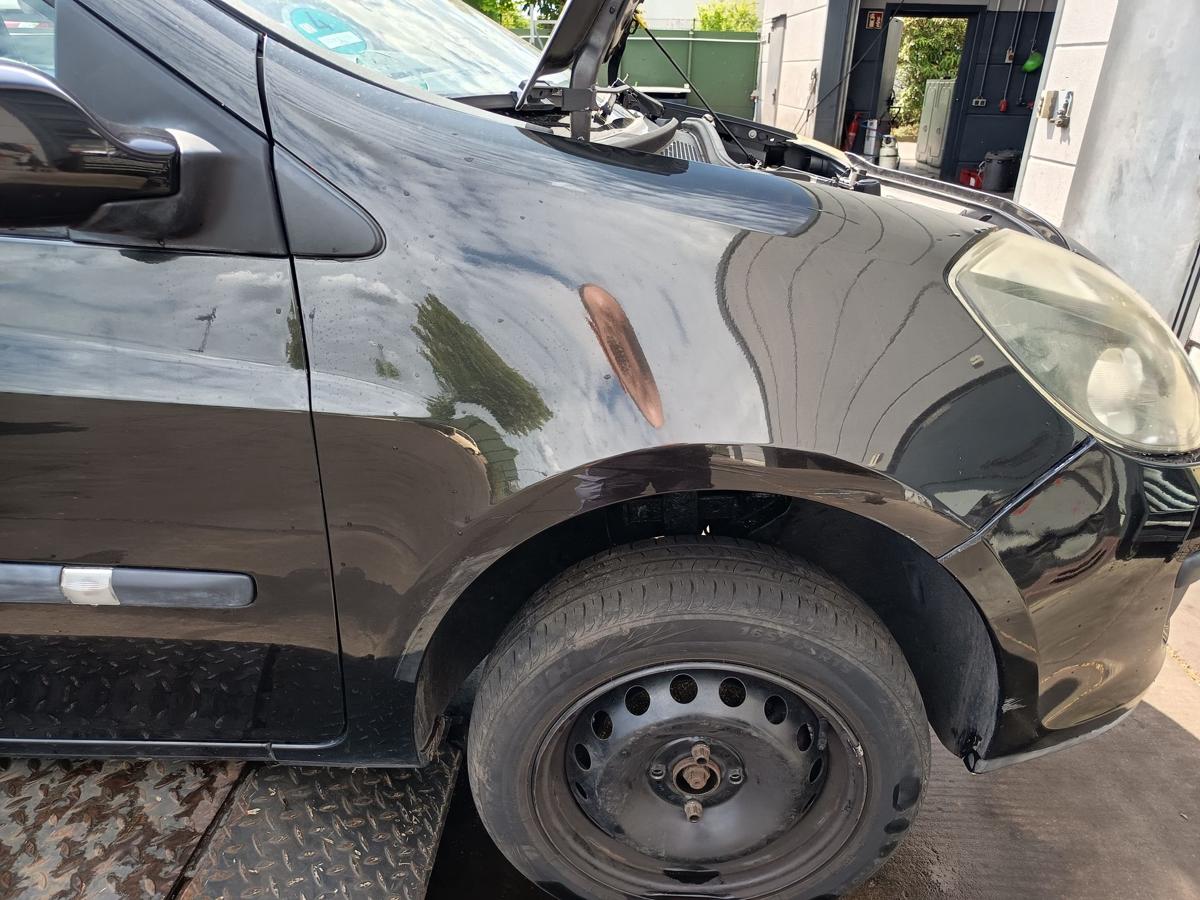 Renault Clio III original Kotflügel rechts Seitenteil 676 Perlmuttschwarz Bj2006