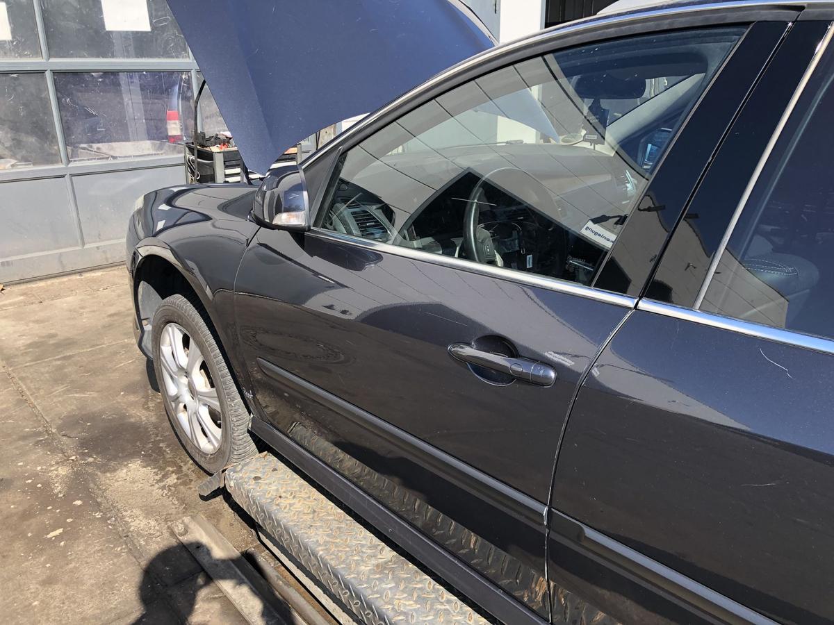 Renault Laguna III original Tür vorn links Fahrer (Roh) B66 Graphitschwarz Bj 10