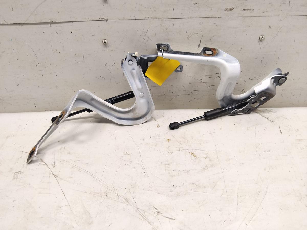 Tesla Model Y RWD original Satz Motorhaubenscharniere unfallfrei BJ2023