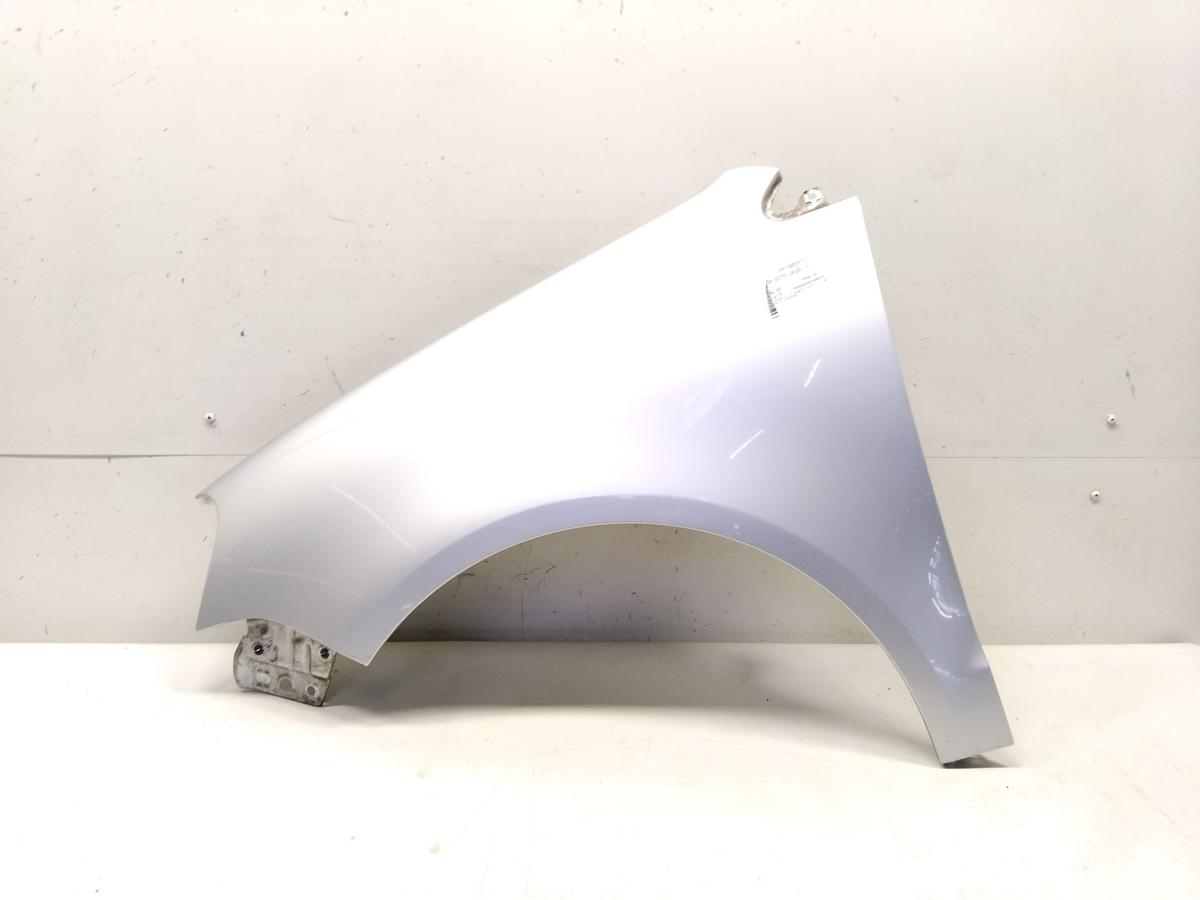 VW Polo 9N3 original Kotfl&uuml;gel vorn links LA7W reflexsilbermetallic BJ2007