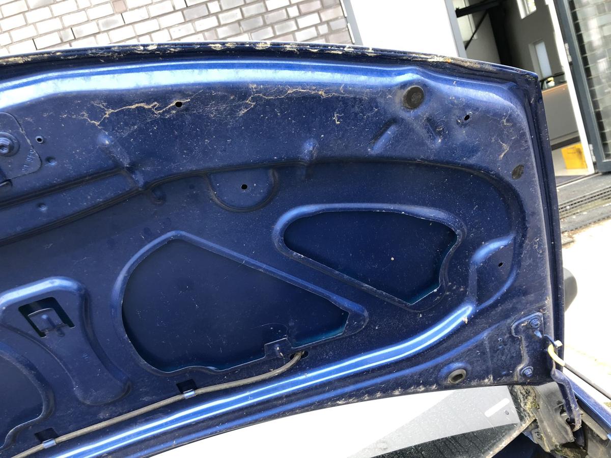 Renault Clio 3 Typ BR Motorhaube Haube Klappe Deckel vorn TERNA Blue