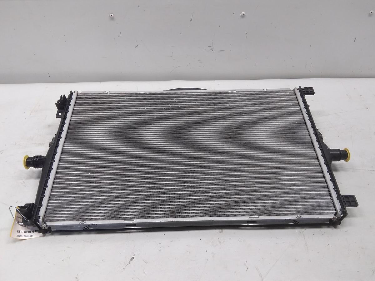 Tesla Model Y original Wasserkühler 1494175-00-A