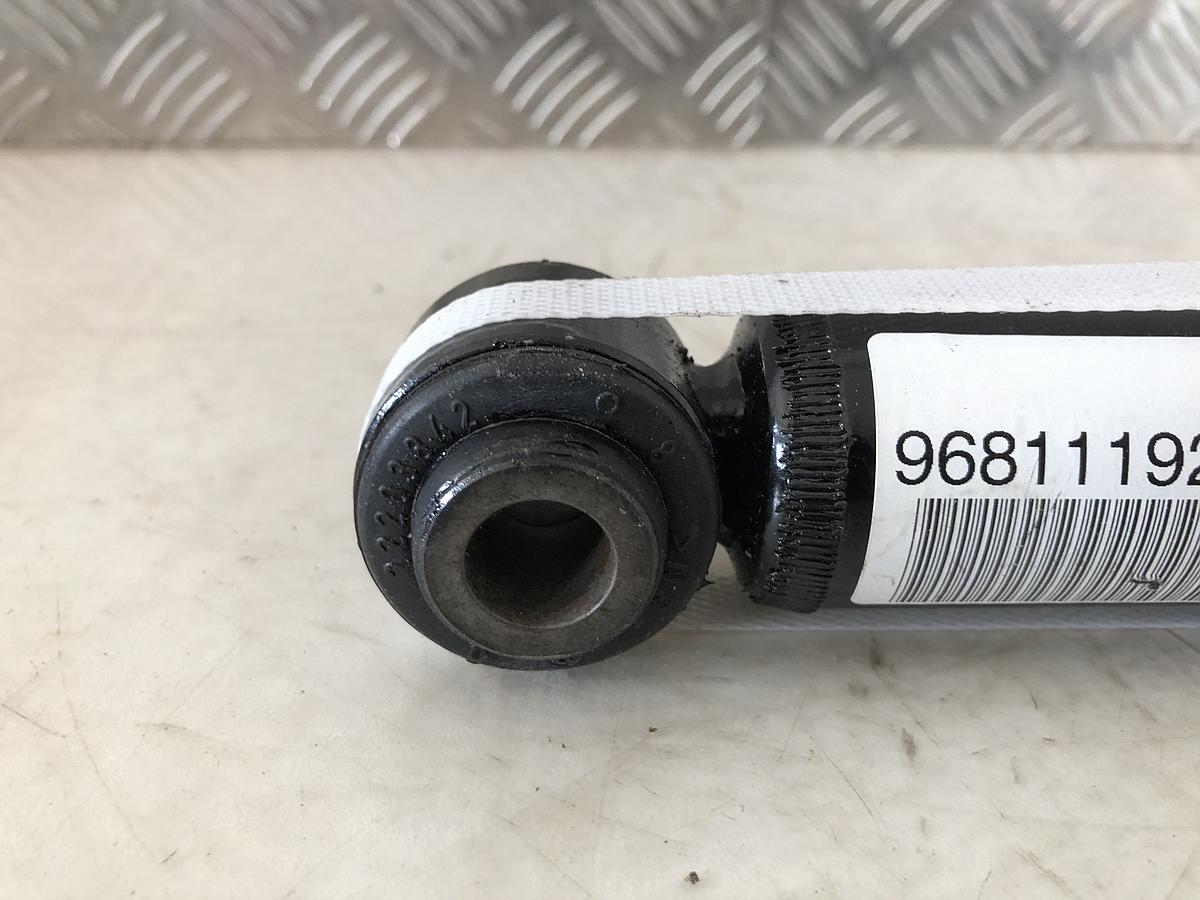 Citroen C3 Typ F Satz Sto&szlig;d&auml;mpfer Hinterachse D&auml;mpfer Neu OE 5206JC