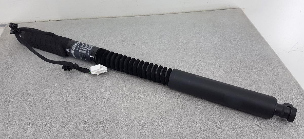 Tesla Model X T&uuml;rheber Gadruckfeder T&uuml;r hinten Bj2022 1063440-00-F Falcon