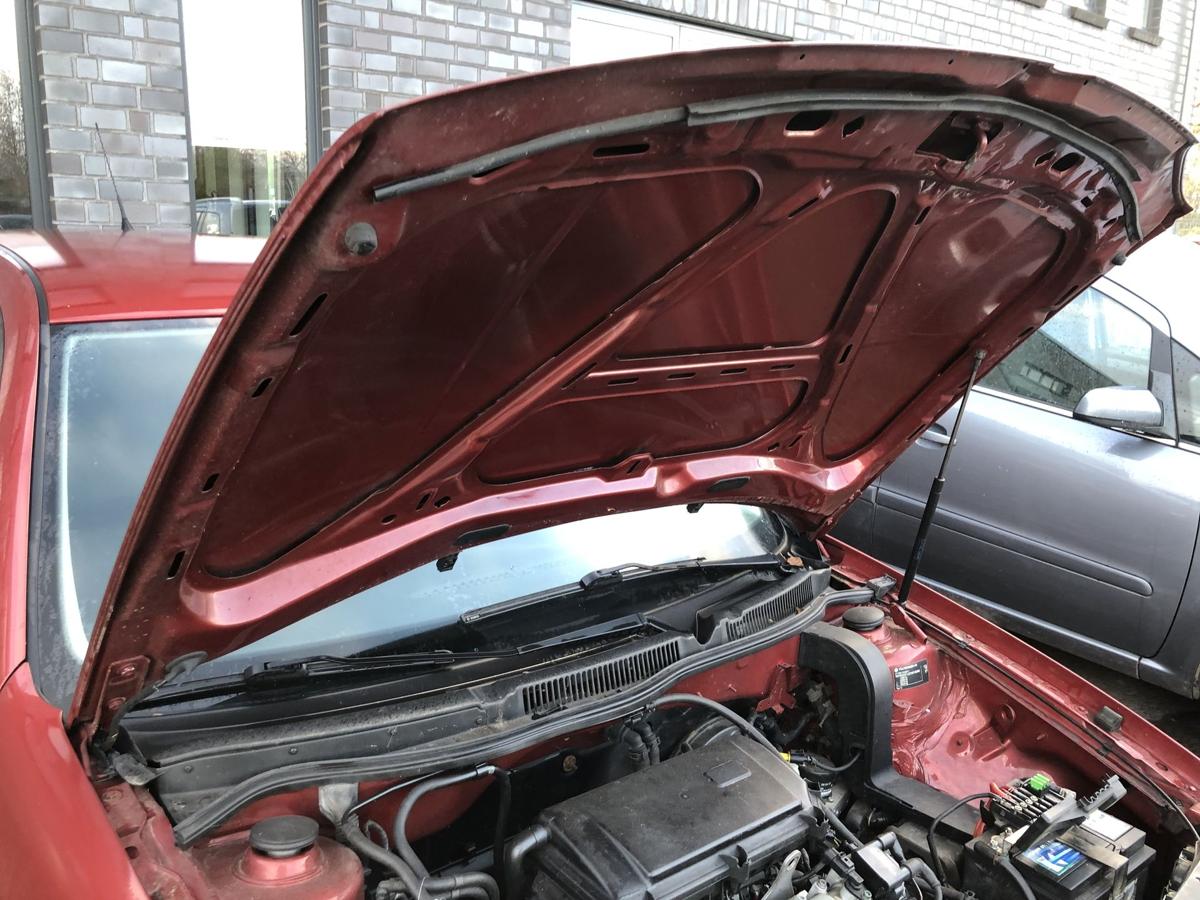 VW Golf 4 1J IV Motorhaube Haube Klappe Deckel vorn LC3K Canyonrot Delle Beule