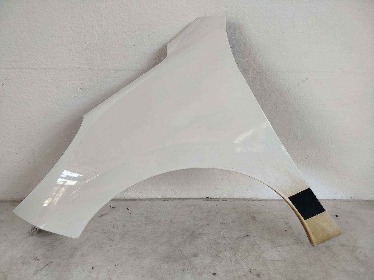 Peugeot 207 W Kotflügel Fender Seitenwand vorn links EWP WEISS BANQUISE