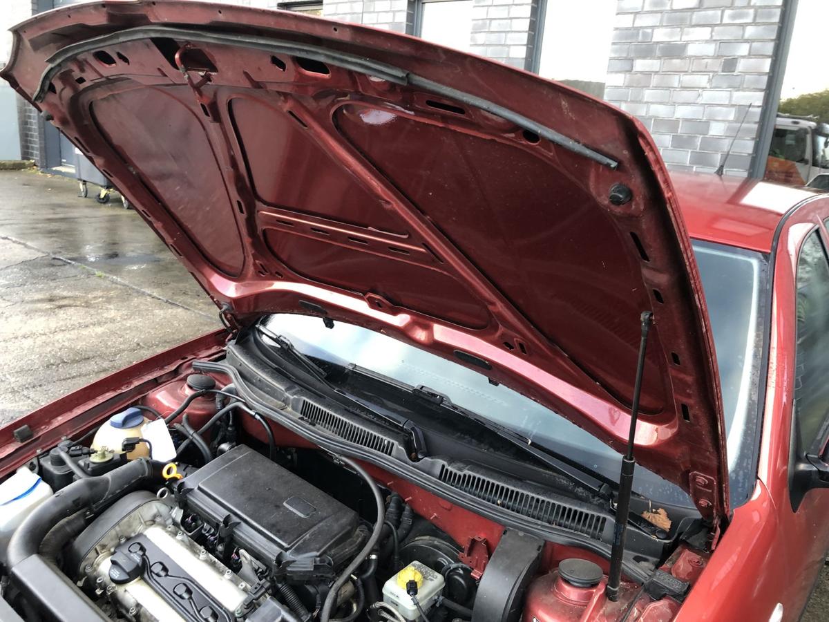 VW Golf 4 1J IV Motorhaube Haube Klappe Deckel vorn LC3K Canyonrot Delle Beule