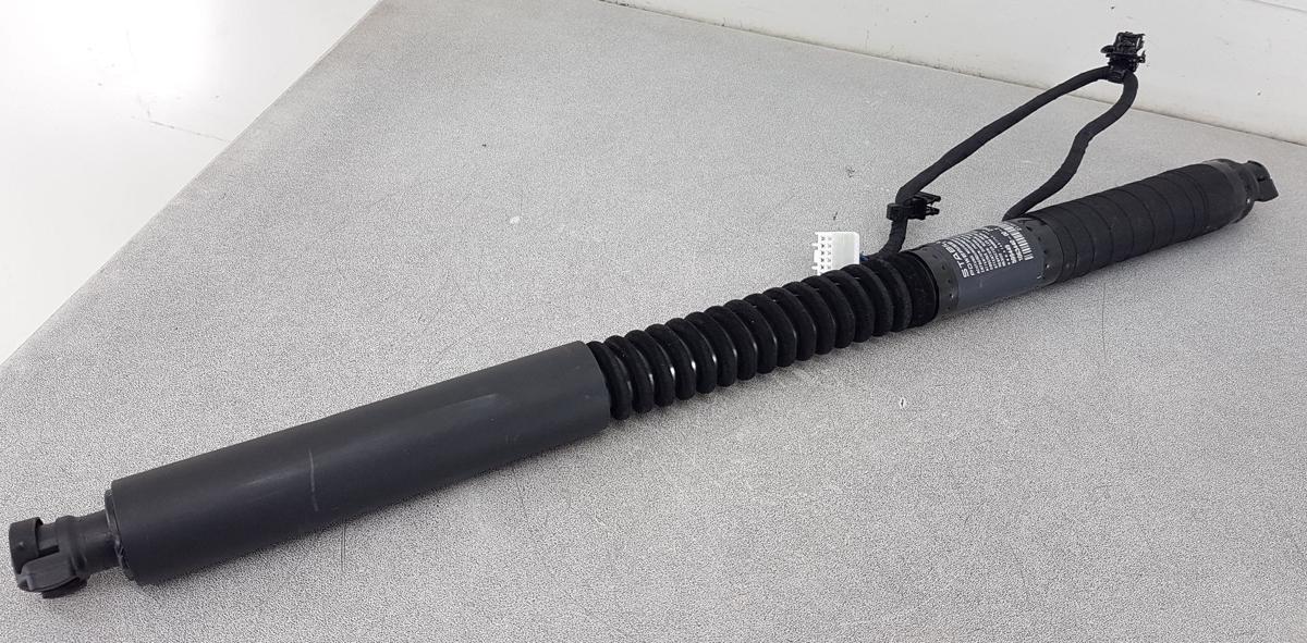 Tesla Model X T&uuml;rheber Gadruckfeder T&uuml;r hinten Bj2022 1063440-00-F Falcon