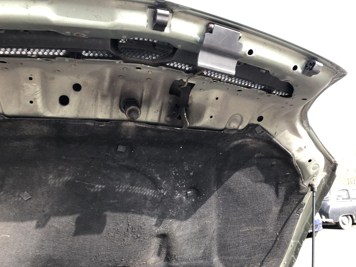 Opel Signum F48 Motorhaube Haube Klappe Deckel Grill K&uuml;hlergrill 3LU Bambusgr&uuml;n