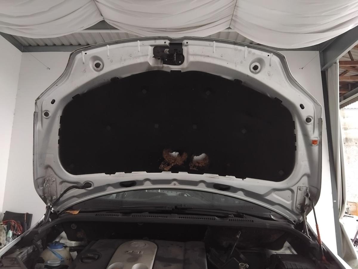 VW Golf Plus 5M original Motorhaube Deckel vorn reflexsilbermetallic LA7W BJ2005 VW Golf Plus 5M original Motorhaube Deckel vorn reflexsilbermetallic LA7W BJ2005