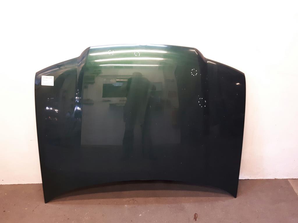 VW Bora 1J2 Motorhaube LC6M Brightgreen Perleffekt BJ1999