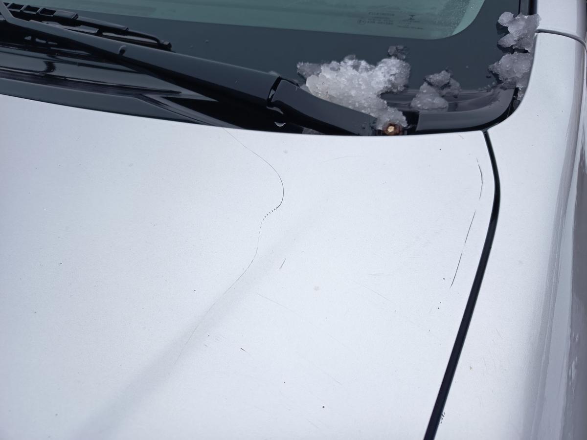 Toyota Corolla E12 original Motorhaube Klappe Deckel vorn Front 199 Silber Bj 02