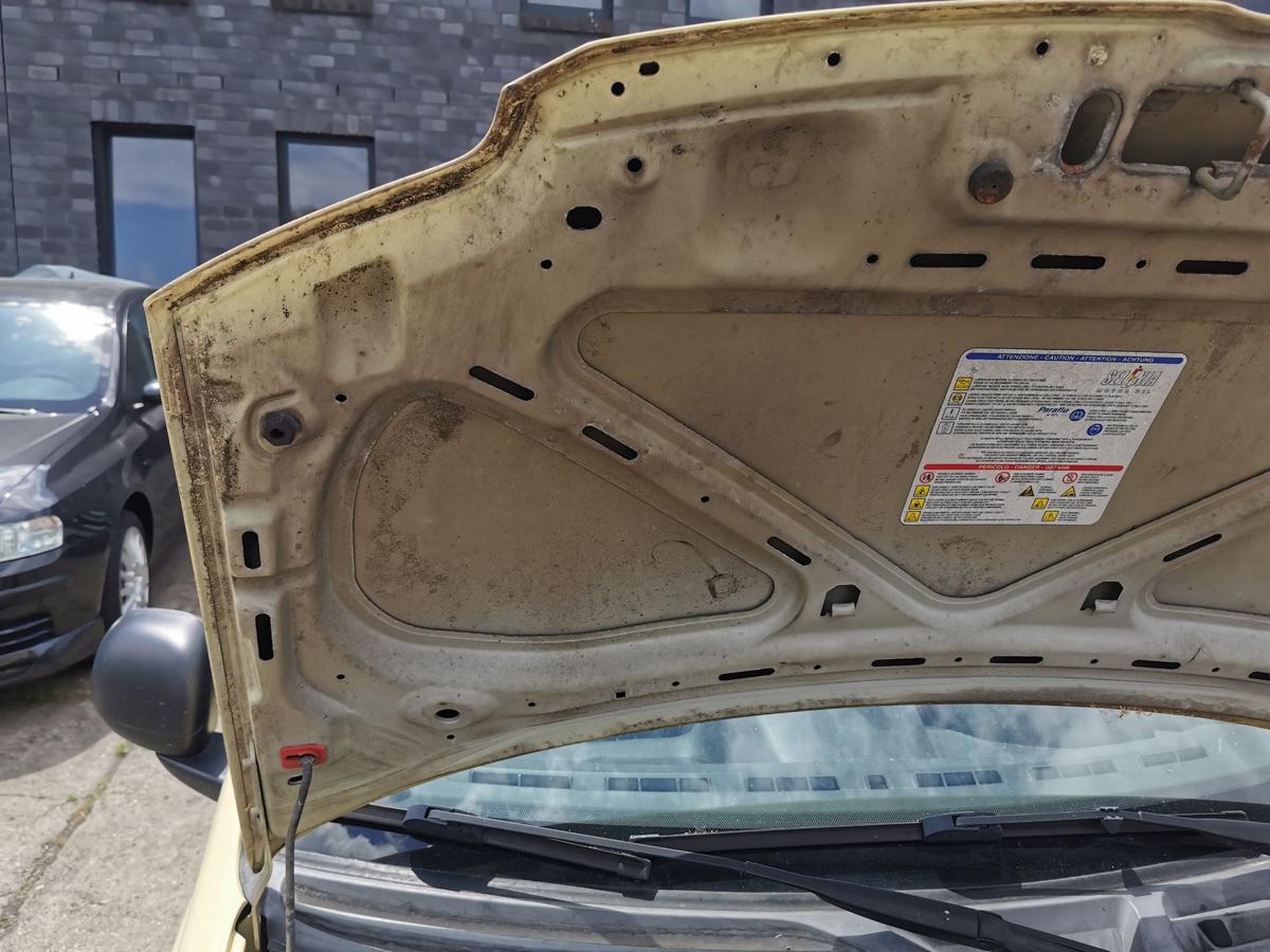 Fiat Panda 169 Motorhaube Haube Klappe Bonnet vorn Lackierung erforderlich