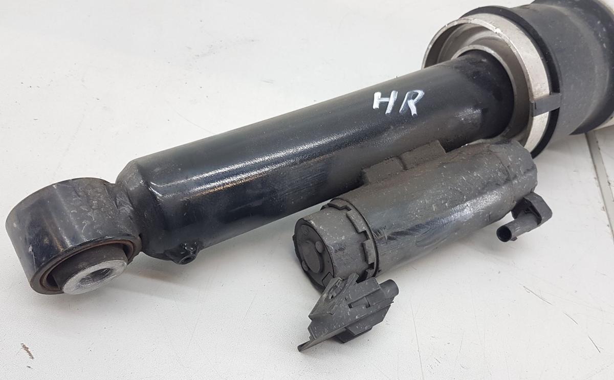 Tesla Model X Luftfederbein hinten rechts Bj2022 1620466-99-D Modell ab Bj2021