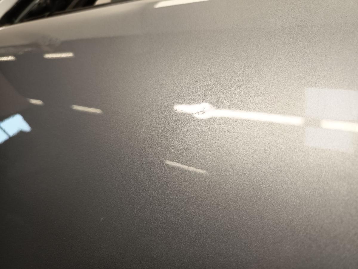 Citroen C3 orig Tür vorn links Fahrerseite ohne Spiegel EZR Grau Bj 2007