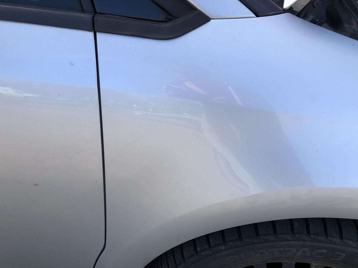 Citroen C4 Typ L Kotfl&uuml;gel vorn rechts Beifahrer Plastik EZR Aluminium Grau