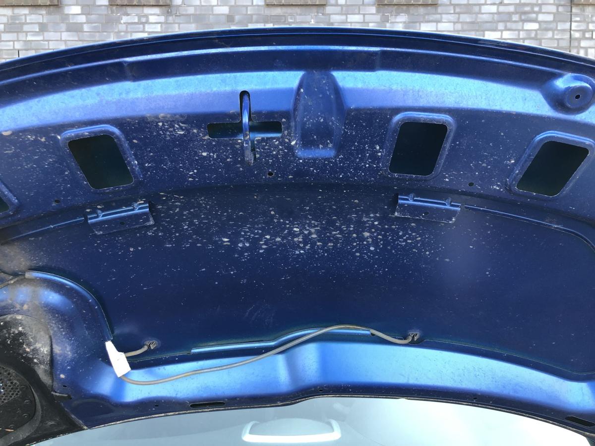 Peugeot 206+ Motorhaube Bonnet Haube Deckel vorne KGS Bleu Ipanema 2009 bis 2012