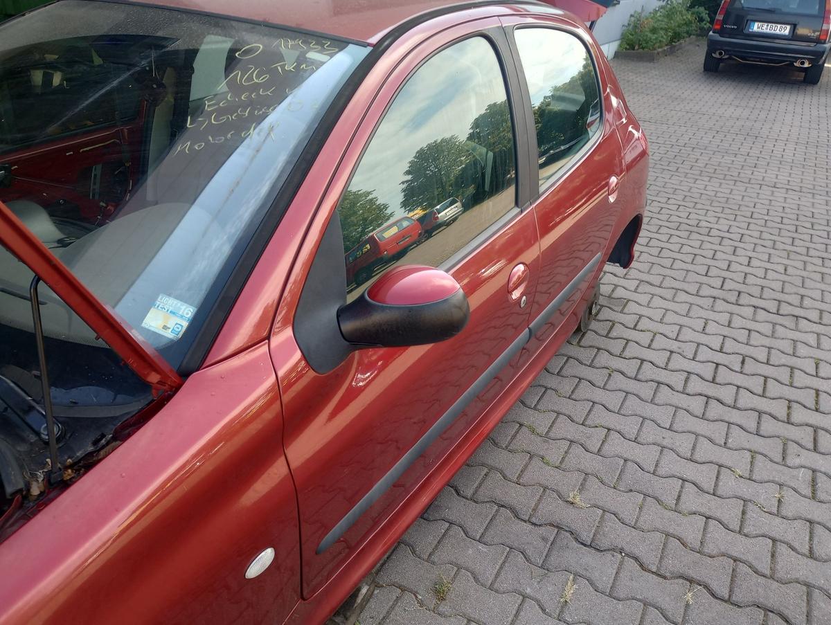 Peugeot 206 original Tür vorn links Fahrer Roh EKQ Luziferrot Bj 2004