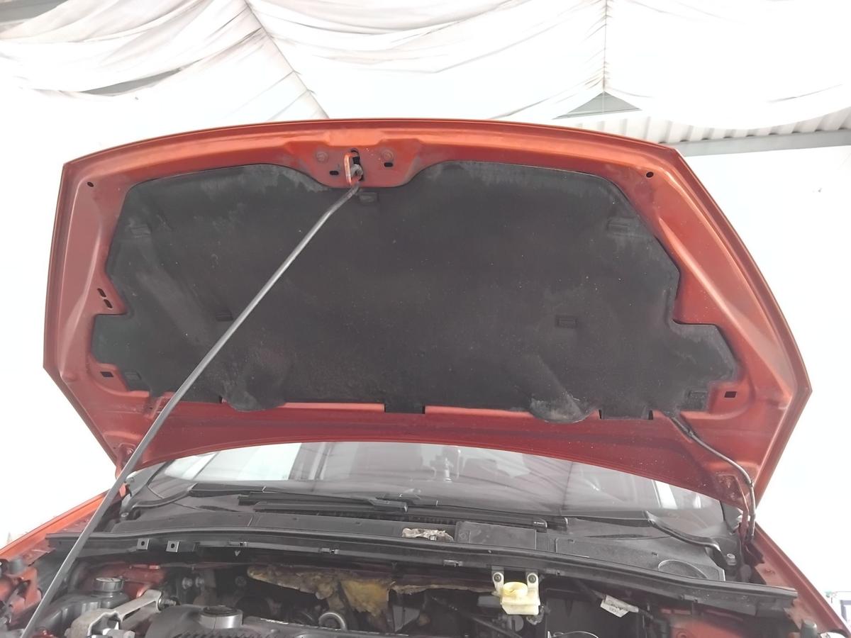 Ford S-Max 1 WA6 original Motorhaube Deckel vorn tangorotmetallic BJ2008