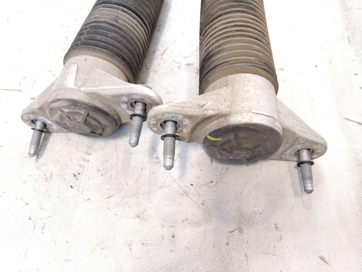 Tesla Model 3 Performance original Satz Stoßdämpfer Hinterachse 104446101E BJ19