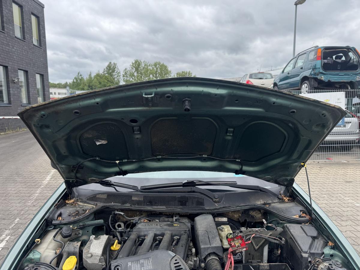 Renault Megane 2 original Motorhaube D96 Vert Giverny Metallic Bj.2004