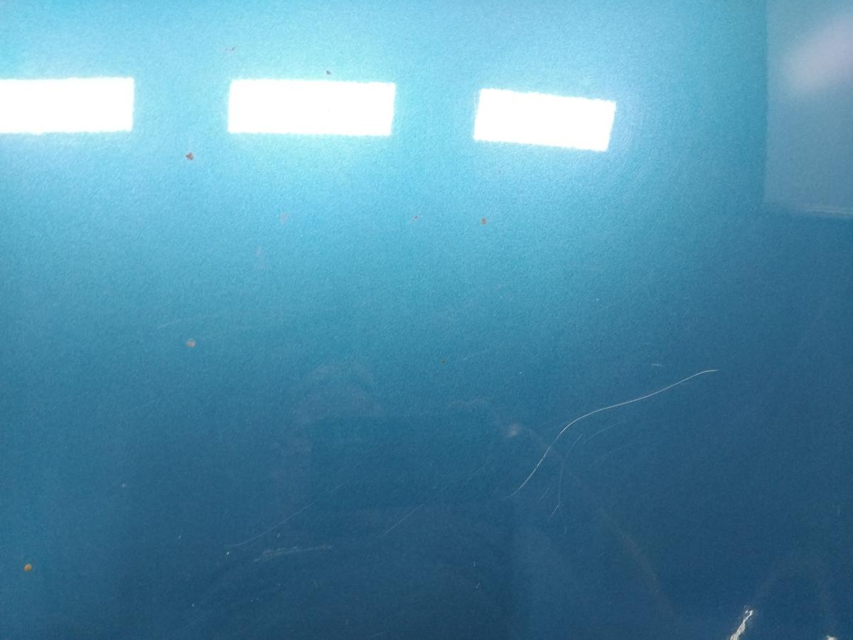 Citroen C3 II original Motorhaube blaumetallic KGW blau belle-ile BJ2010