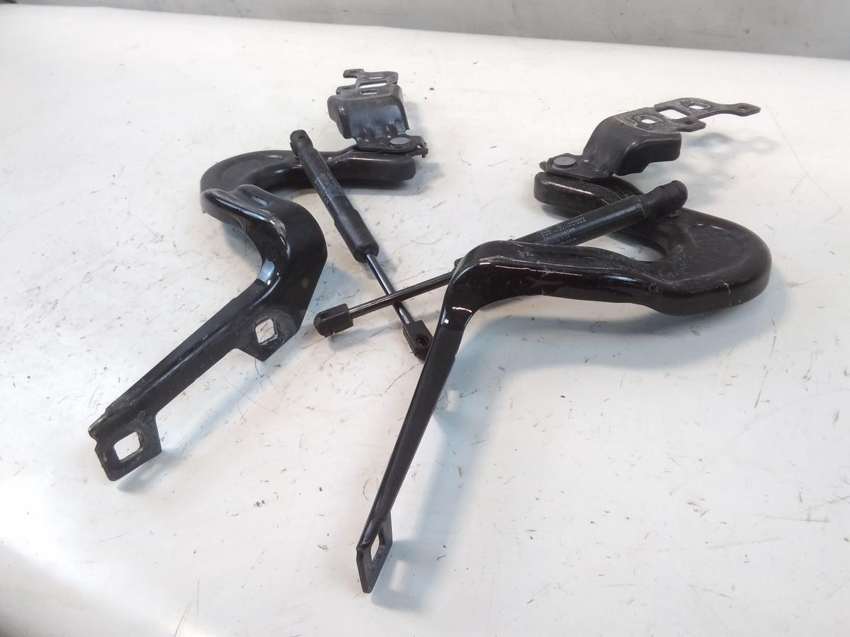 Tesla Model Y original Satz Motorhaubenscharniere unfallfrei BJ2023