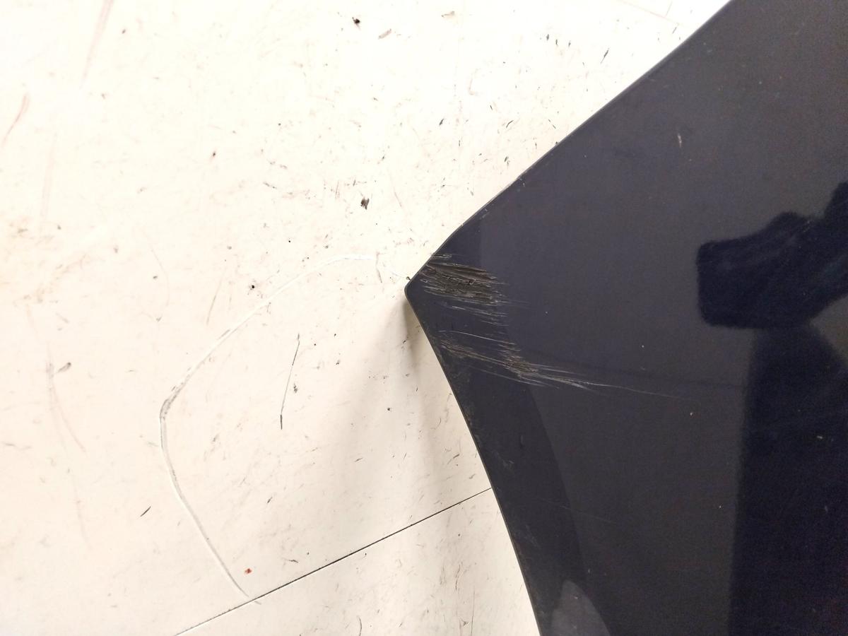 Dacia Sandero SD original Stossf&auml;nger Sto&szlig;stange vorn dunkelblau BJ2010