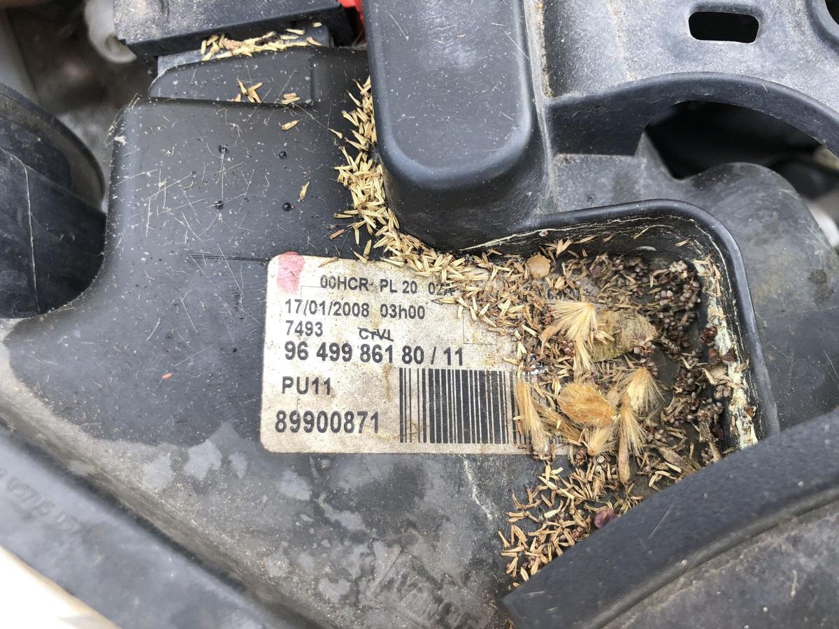 Peugeot 207 SW Typ WE Scheinwerfer vorn rechts Hauptscheinwerfer Halogen Tr&uuml;b