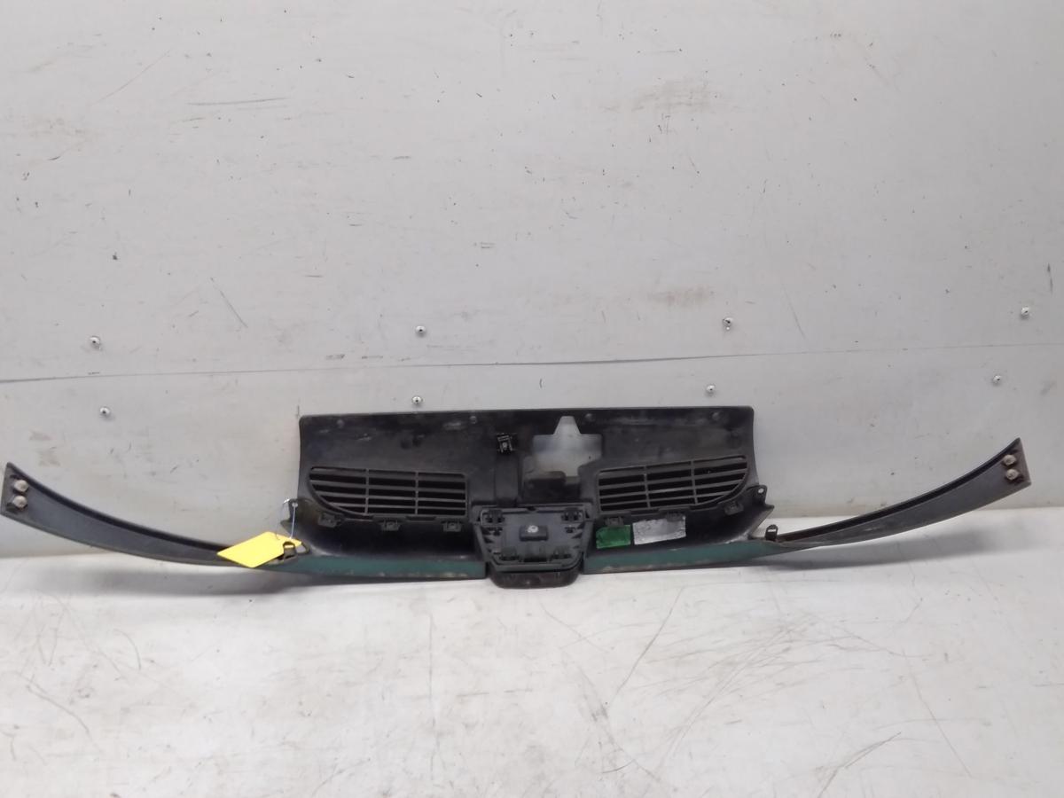 Peugeot 206 original Kühlergrill hellgrünmetallic romarin BJ1999