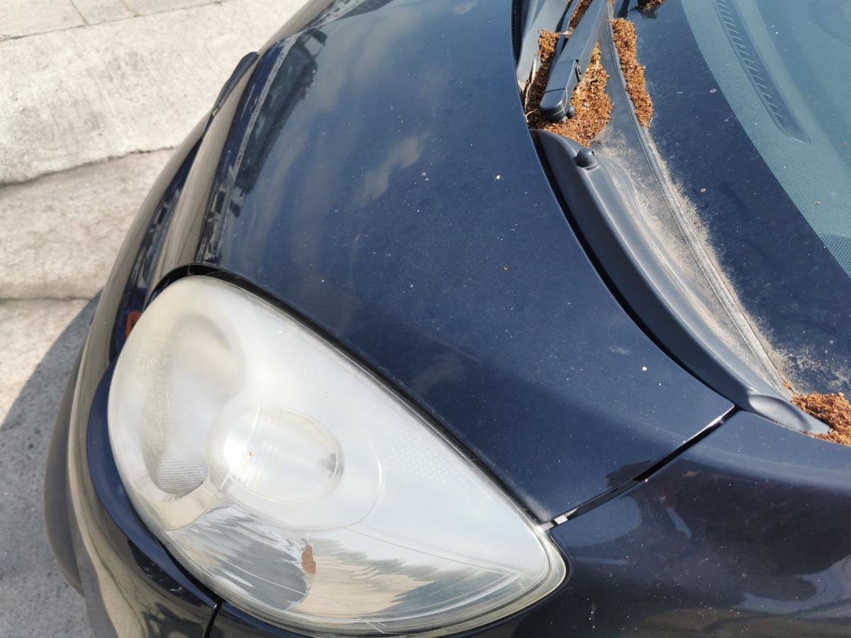 Citroen C1 P Motorhaube Haube Klappe Deckel Bonnet vorn EXZ Schwarz Metallic