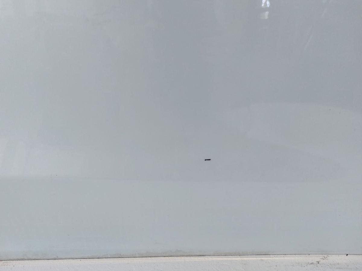 Tesla Model Y Tür vorn rechts Beifahrertür Rohbau PPSW white Water perl OEM