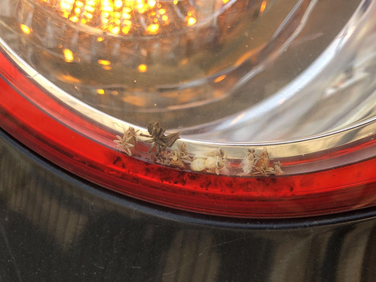 VW Jetta 1K Rückleuchte links außen Ecke Heckleuchte LED Schlusslicht