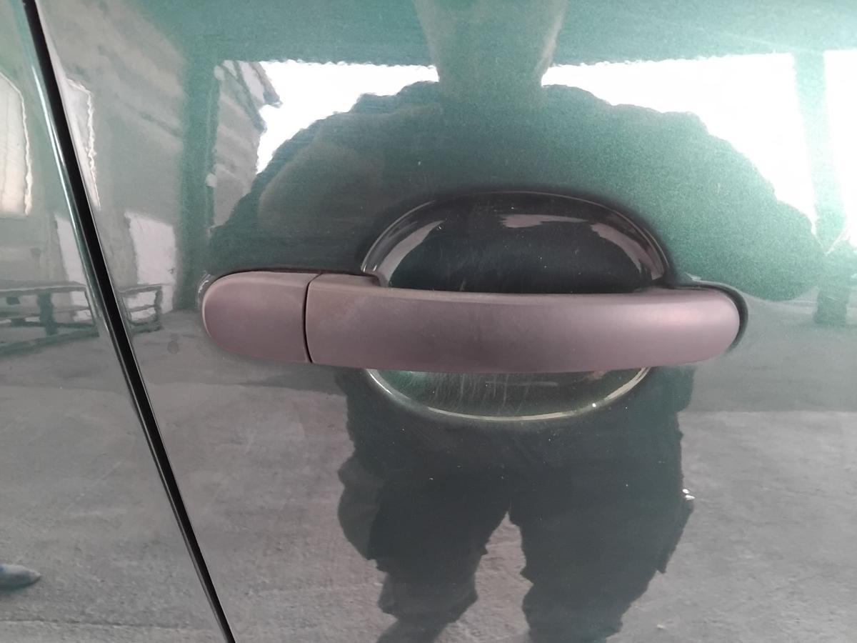 VW Golf 4 1J T&uuml;r vorn rechts Beifahrert&uuml;r 5-t&uuml;rig BJ2003 LC6M Brightgreen