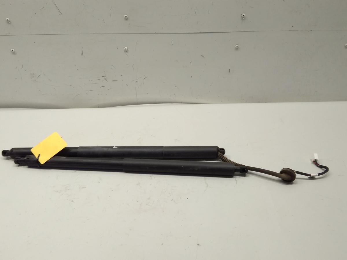 Tesla Model Y original Satz Gasdruckzylinder Heckklappe mit Antrieb BJ2022