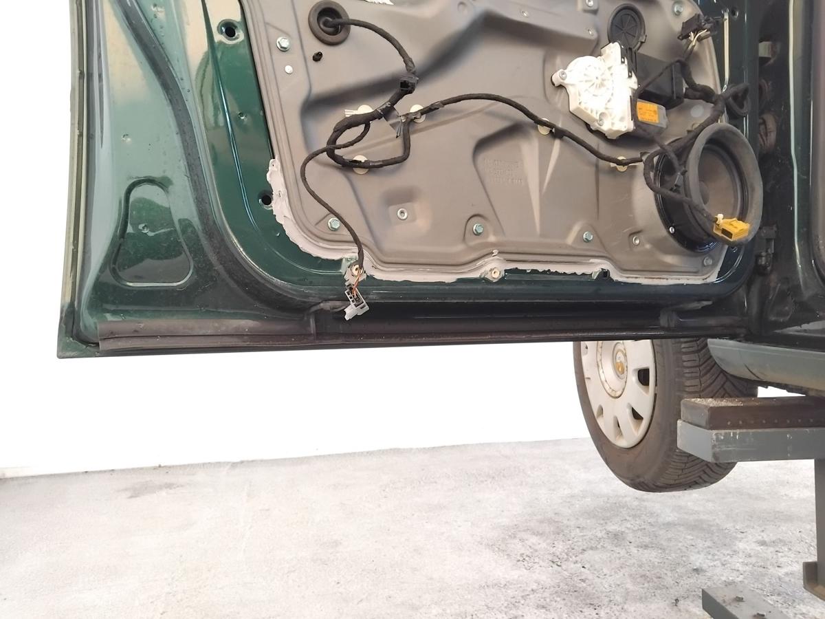 VW Golf 4 1J Tür vorn links Fahrertür 5-türig BJ2003 LC6M Brightgreen