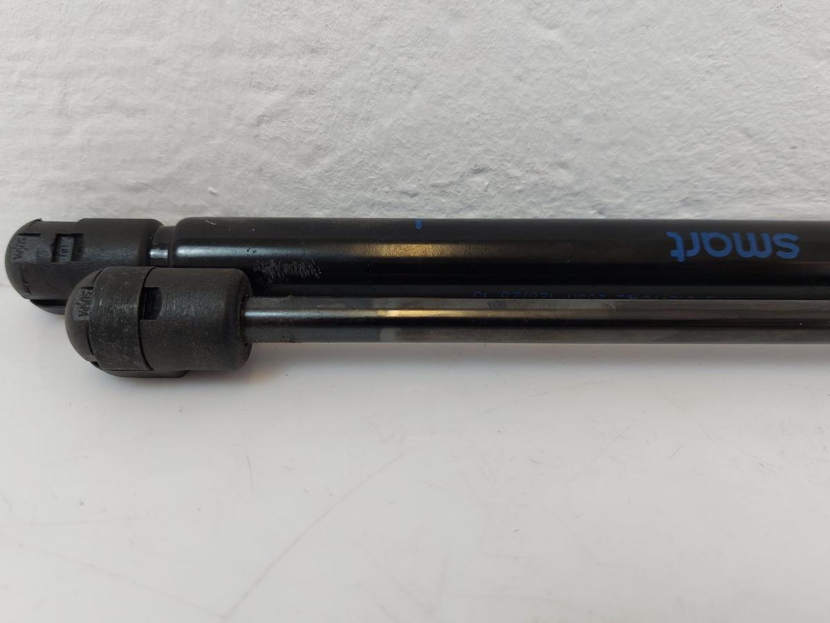 Smart #1 HX11 Pulse Satz Gasdruckdämpfer Motorhaube Dämpfer Haube OEM